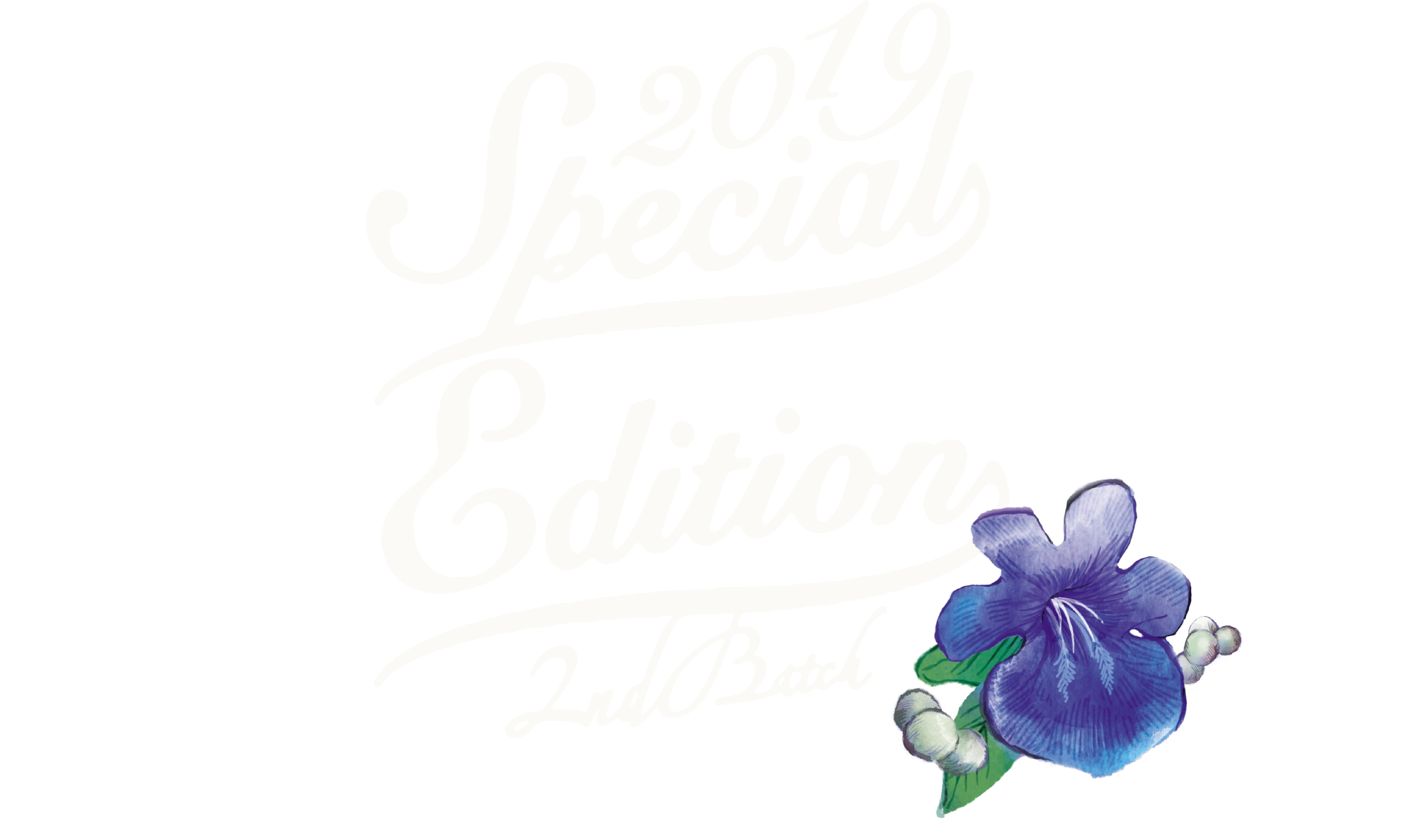 2019 Special Edition